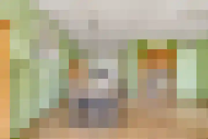 Krabbescheer 66 Alphen aan den Rijn thumbnail 12