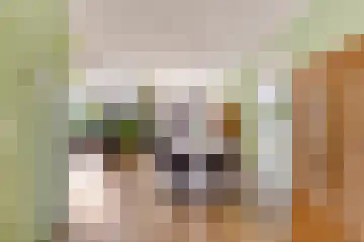 Krabbescheer 66 Alphen aan den Rijn thumbnail 13