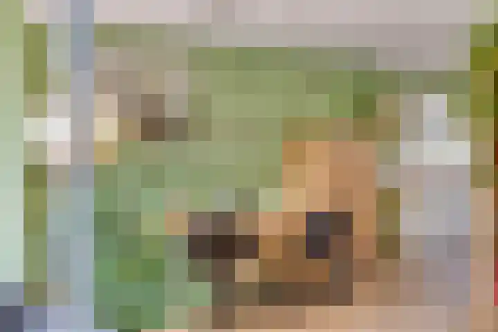 Krabbescheer 66 Alphen aan den Rijn thumbnail 14