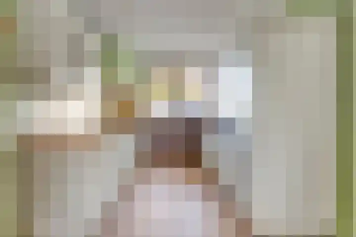 Krabbescheer 66 Alphen aan den Rijn thumbnail 15