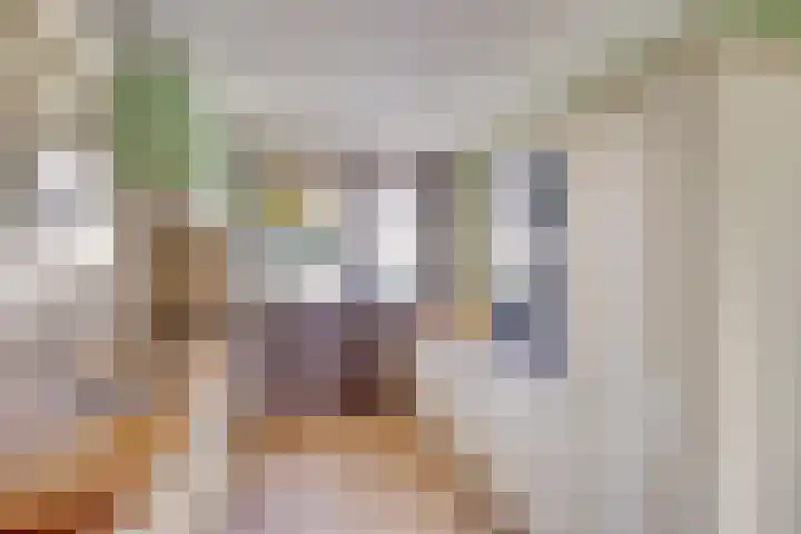 Krabbescheer 66 Alphen aan den Rijn thumbnail 16