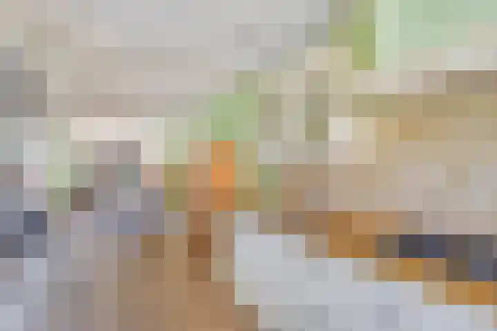 Krabbescheer 66 Alphen aan den Rijn thumbnail 17