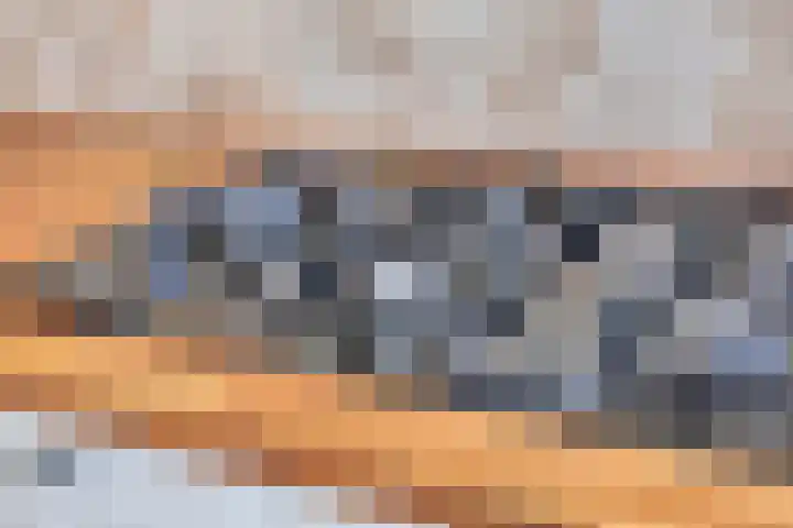 Krabbescheer 66 Alphen aan den Rijn thumbnail 18