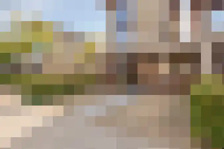 Krabbescheer 66 Alphen aan den Rijn foto 2
