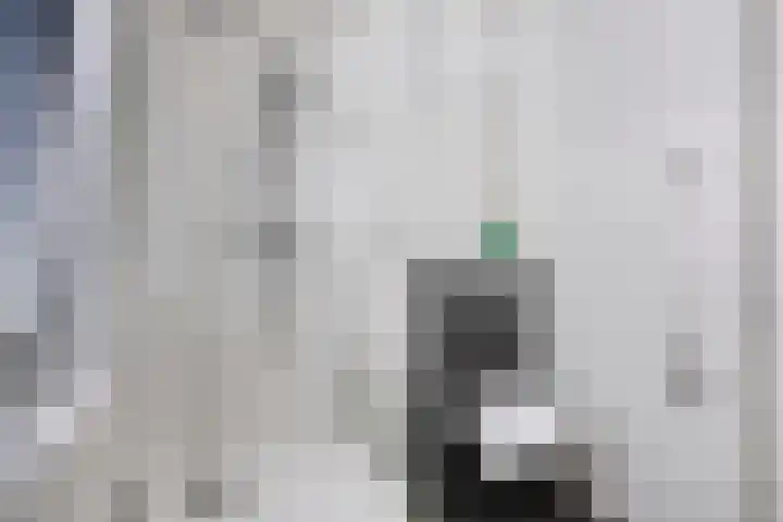 Krabbescheer 66 Alphen aan den Rijn thumbnail 27