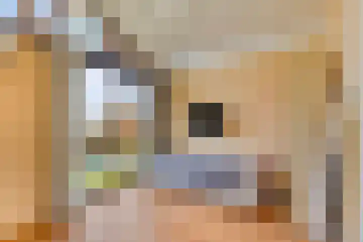 Krabbescheer 66 Alphen aan den Rijn thumbnail 33