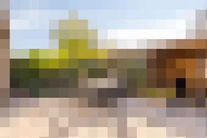 Krabbescheer 66 Alphen aan den Rijn thumbnail 37