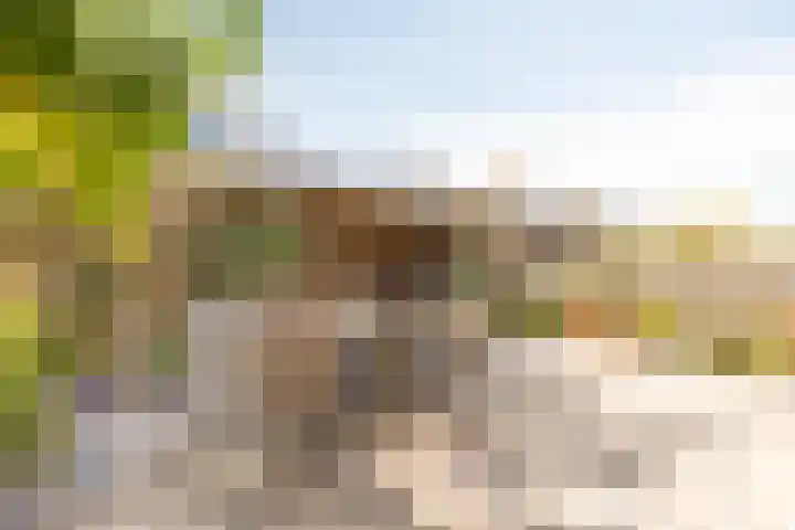 Krabbescheer 66 Alphen aan den Rijn thumbnail 38