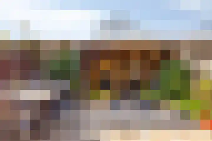 Krabbescheer 66 Alphen aan den Rijn thumbnail 39