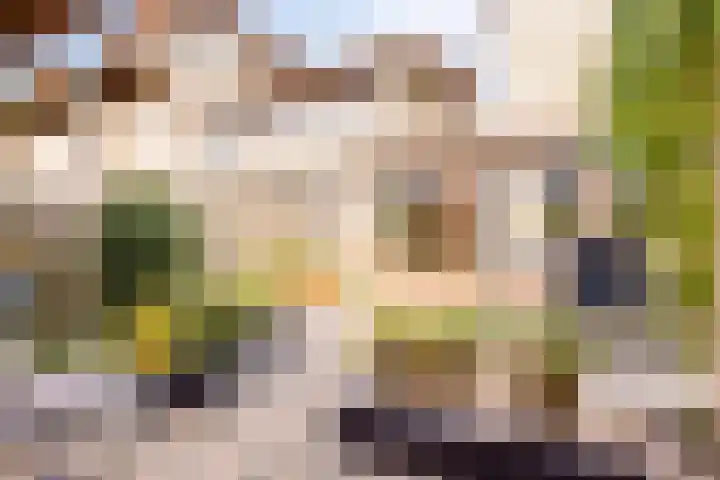 Krabbescheer 66 Alphen aan den Rijn thumbnail 40