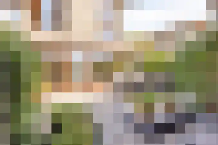 Krabbescheer 66 Alphen aan den Rijn thumbnail 41