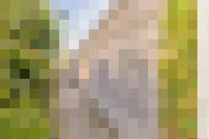 Krabbescheer 66 Alphen aan den Rijn thumbnail 42
