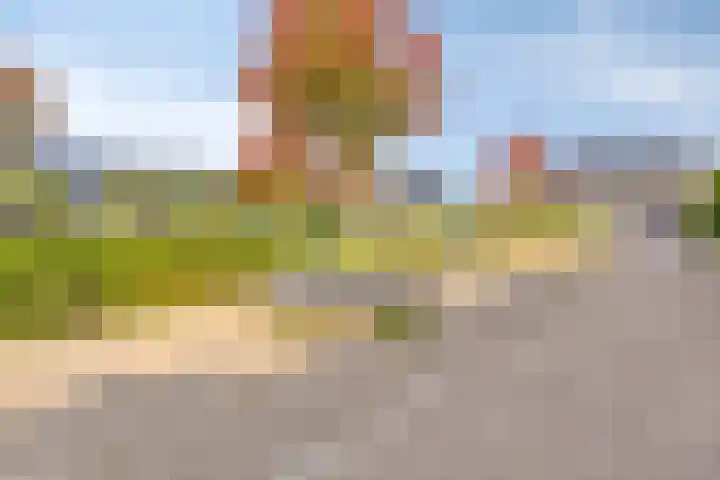 Krabbescheer 66 Alphen aan den Rijn thumbnail 44