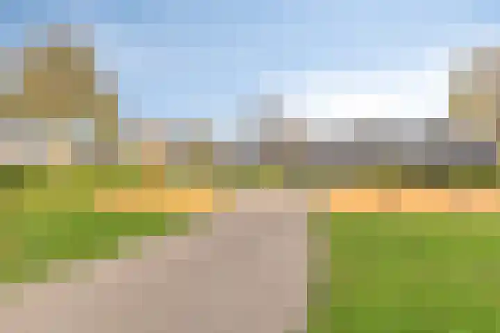 Krabbescheer 66 Alphen aan den Rijn thumbnail 45