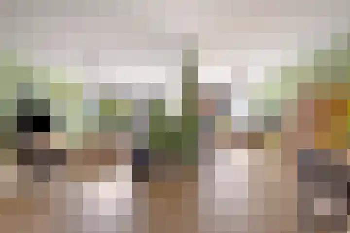Krabbescheer 66 Alphen aan den Rijn thumbnail 5