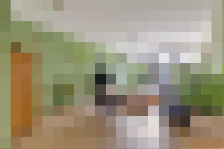 Krabbescheer 66 Alphen aan den Rijn thumbnail 6