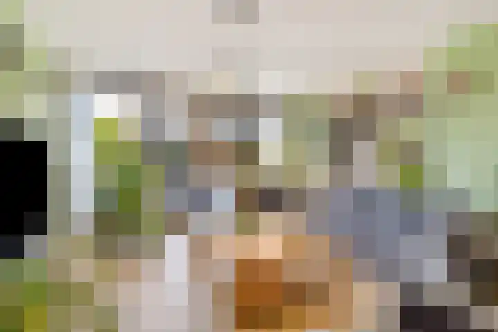 Krabbescheer 66 Alphen aan den Rijn thumbnail 7