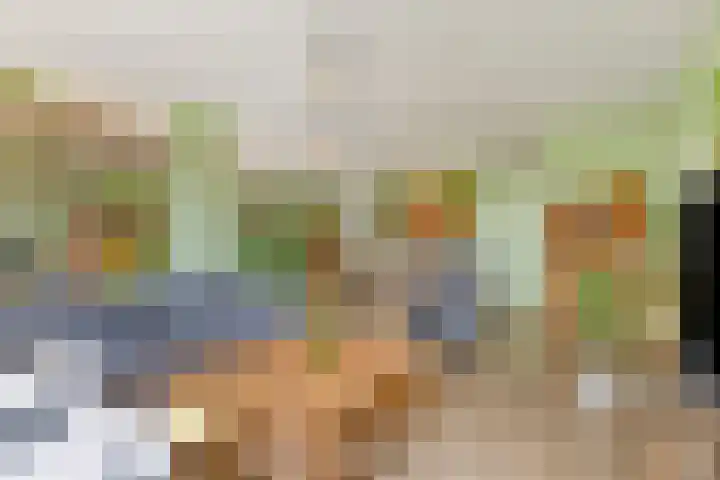 Krabbescheer 66 Alphen aan den Rijn thumbnail 8