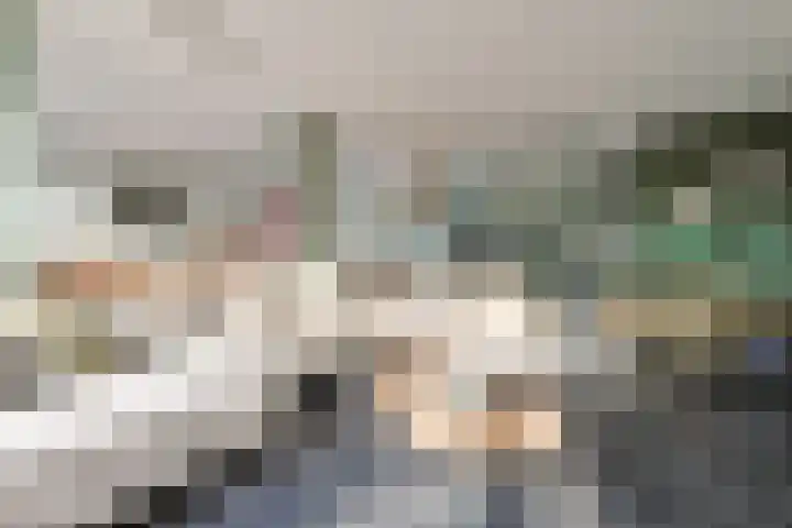 Krabbescheer 68 Alphen aan den Rijn thumbnail 10