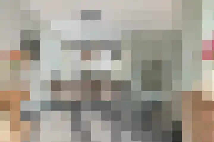 Krabbescheer 68 Alphen aan den Rijn thumbnail 12