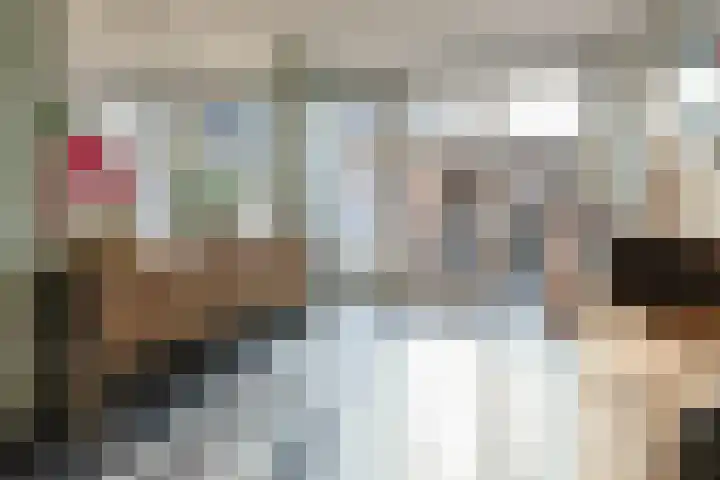 Krabbescheer 68 Alphen aan den Rijn thumbnail 14