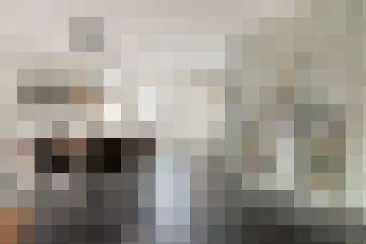 Krabbescheer 68 Alphen aan den Rijn thumbnail 15