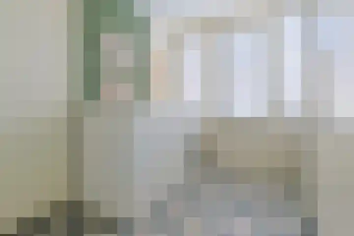 Krabbescheer 68 Alphen aan den Rijn thumbnail 22