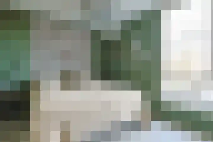 Krabbescheer 68 Alphen aan den Rijn thumbnail 27