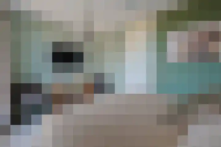 Krabbescheer 68 Alphen aan den Rijn thumbnail 28