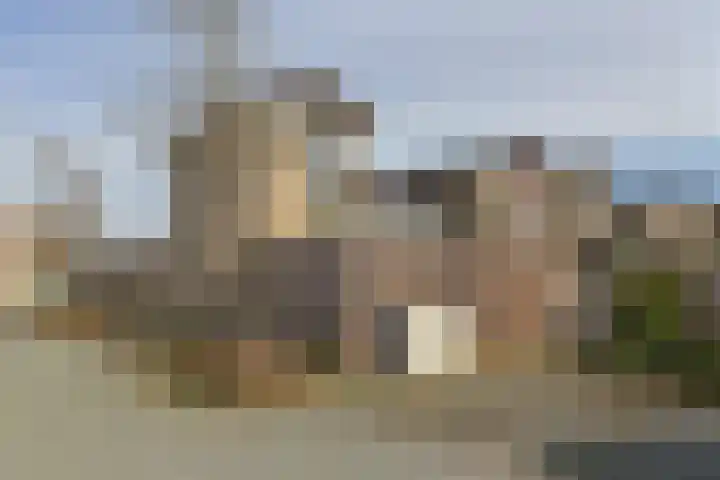 Krabbescheer 68 Alphen aan den Rijn foto 3