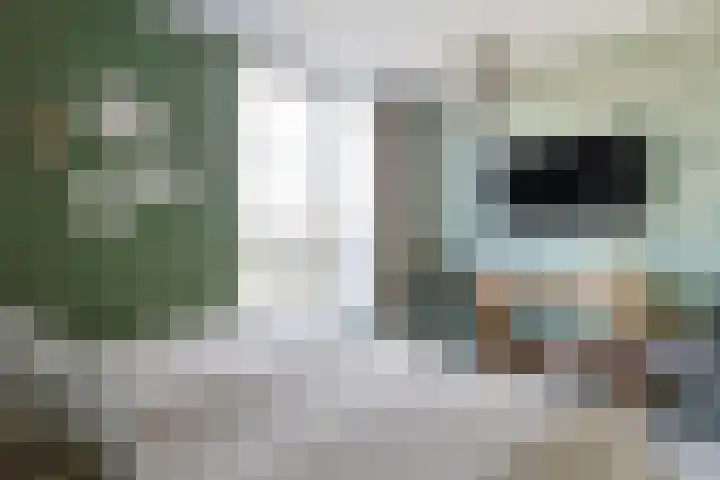 Krabbescheer 68 Alphen aan den Rijn thumbnail 30