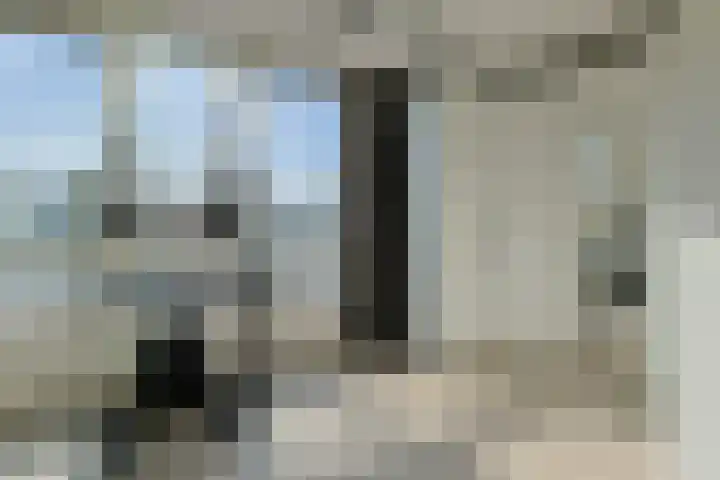 Krabbescheer 68 Alphen aan den Rijn thumbnail 32