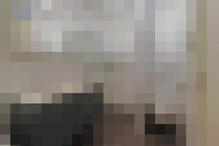 Krabbescheer 68 Alphen aan den Rijn thumbnail 37