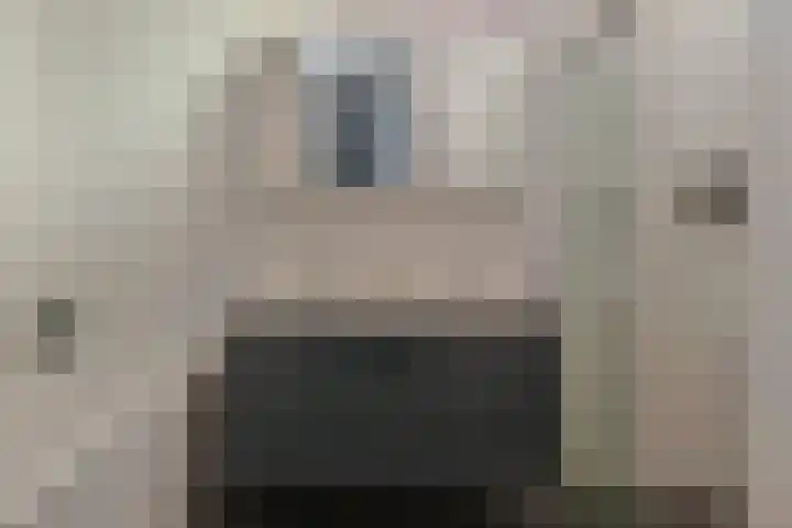 Krabbescheer 68 Alphen aan den Rijn thumbnail 39