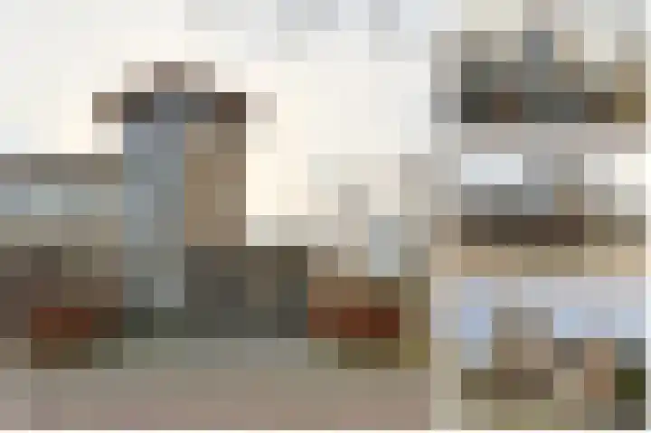 Krabbescheer 68 Alphen aan den Rijn thumbnail 4