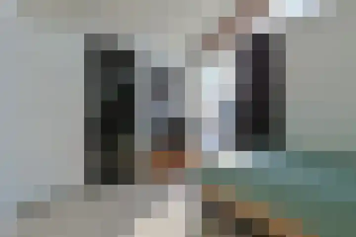 Krabbescheer 68 Alphen aan den Rijn thumbnail 43