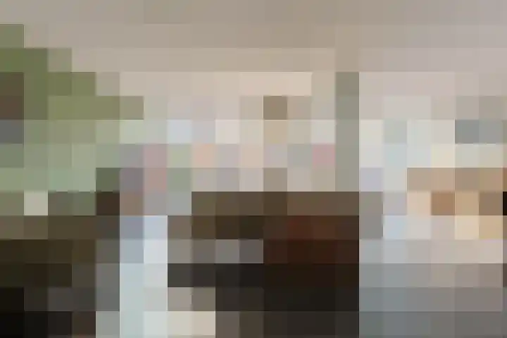 Krabbescheer 68 Alphen aan den Rijn thumbnail 7