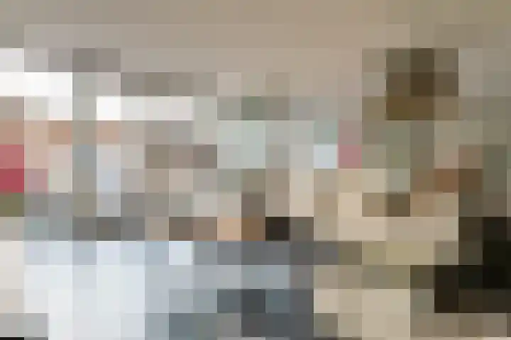 Krabbescheer 68 Alphen aan den Rijn thumbnail 8