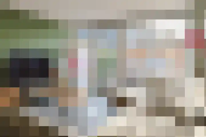 Krabbescheer 68 Alphen aan den Rijn thumbnail 9
