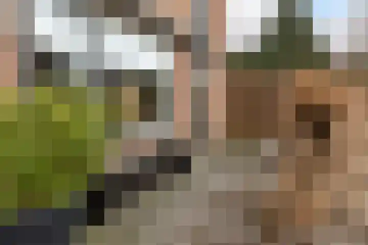 Krabbescheer 7 Kortenhoef thumbnail 22