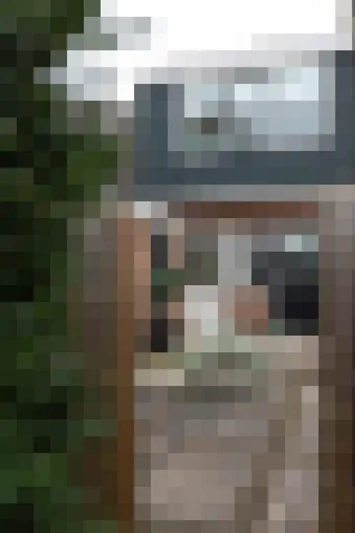 Krabbescheer 7 Kortenhoef thumbnail 24