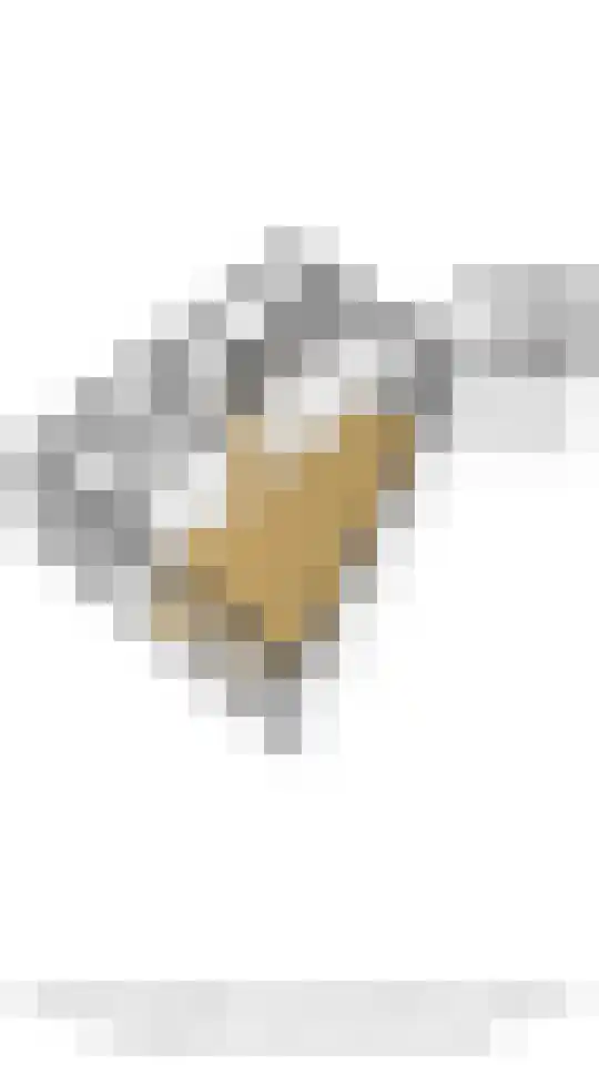 Krabbescheer 7 Kortenhoef thumbnail 28