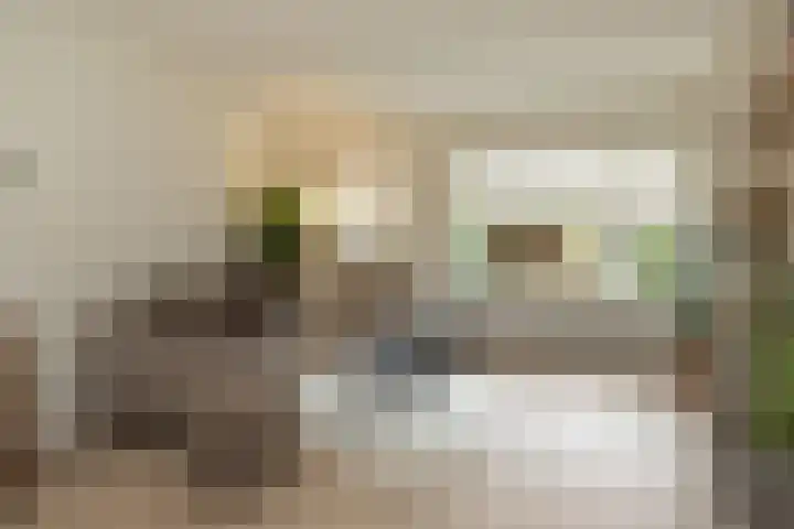 Krabbescheer 7 Kortenhoef thumbnail 4