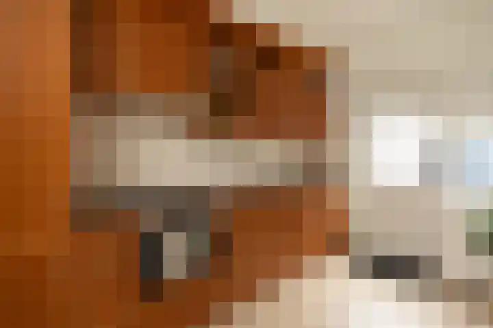 Krabbescheer 7 Kortenhoef thumbnail 6