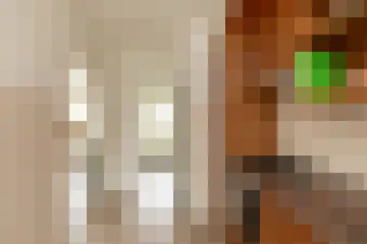 Krabbescheer 7 Kortenhoef thumbnail 7
