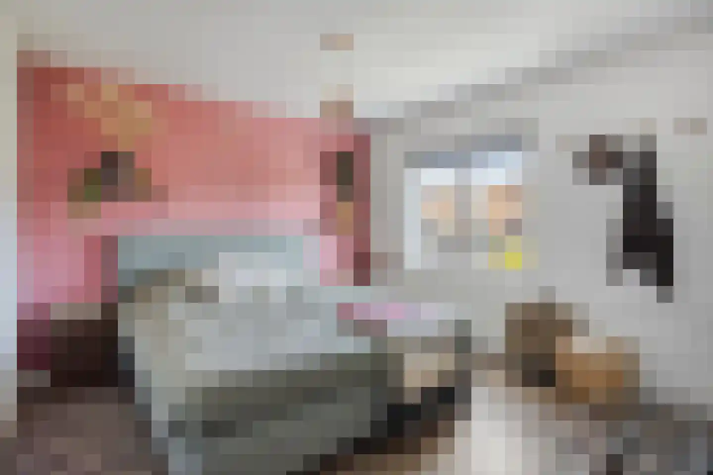 Krabbestraat 13 Eindhoven thumbnail 17