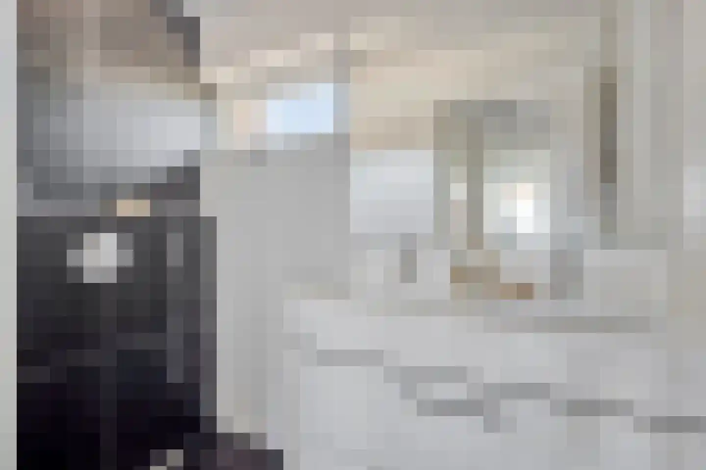 Krabbestraat 13 Eindhoven thumbnail 19