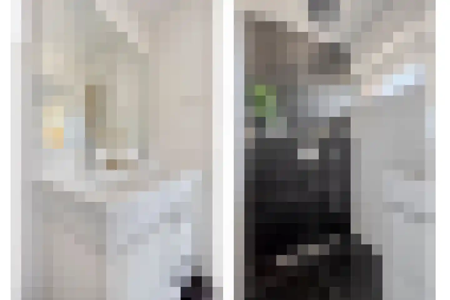 Krabbestraat 13 Eindhoven thumbnail 20