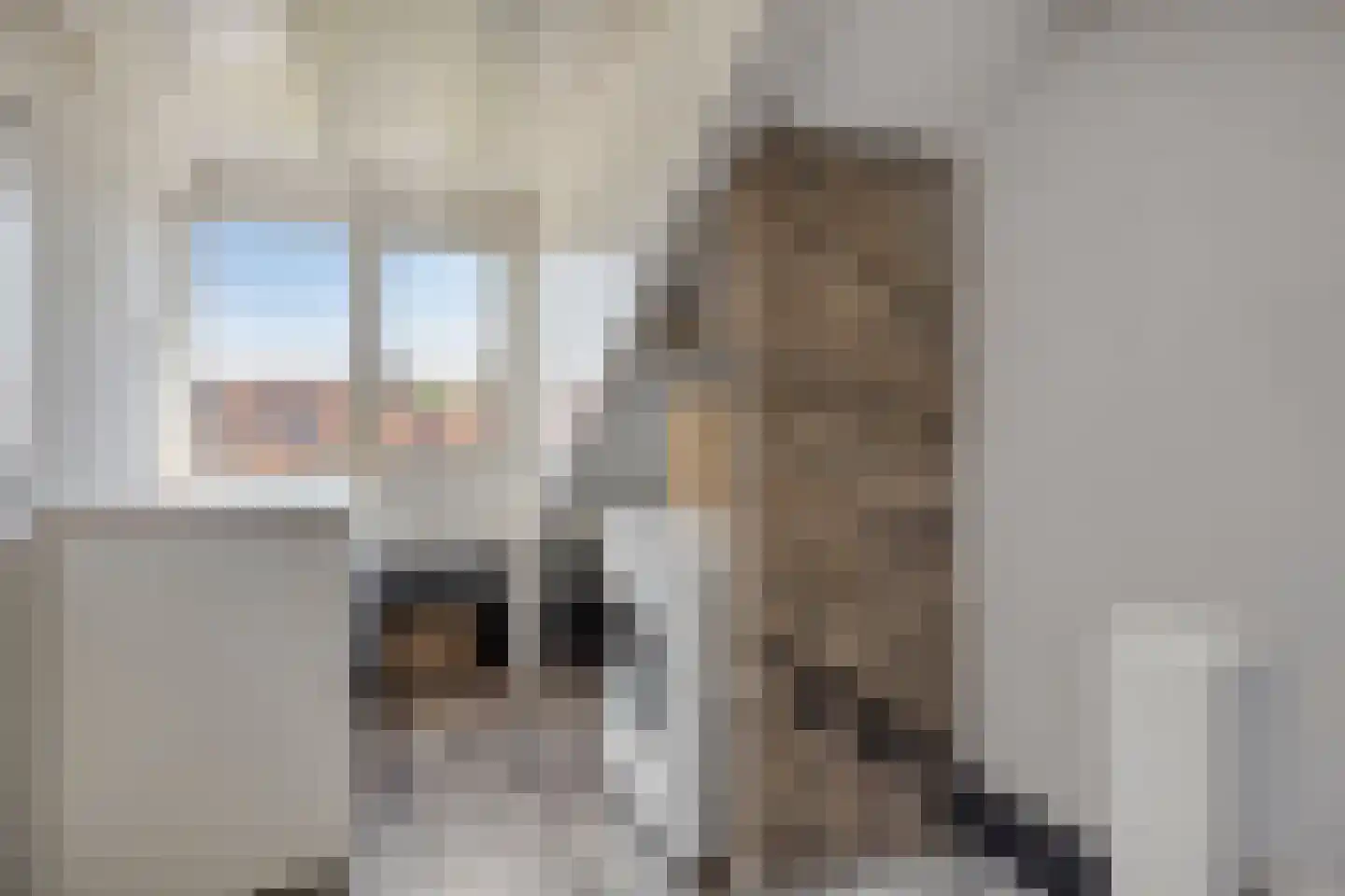Krabbestraat 13 Eindhoven thumbnail 25