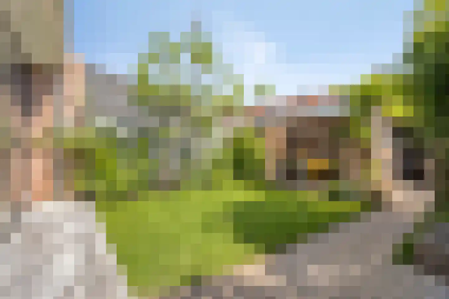 Krabbestraat 13 Eindhoven thumbnail 26